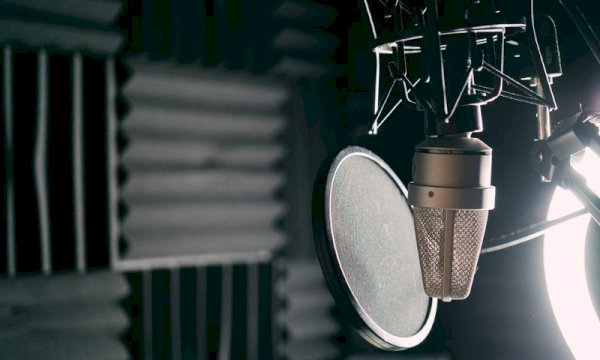 Professional Voiceover Scheduling Plugins for WordPress