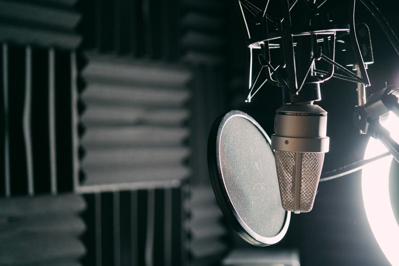 Best Booking Plugin for Voiceover Artists