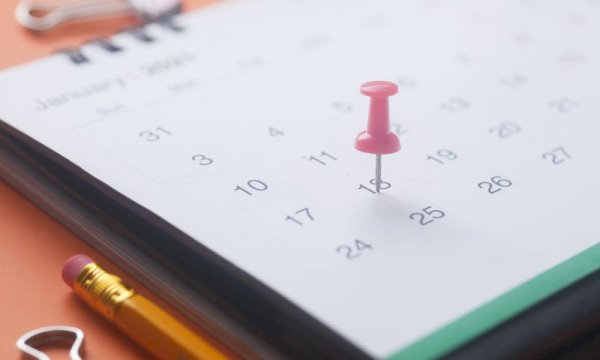 Which WordPress appointment schedulers support Google Calendar synchronization without premium extensions?