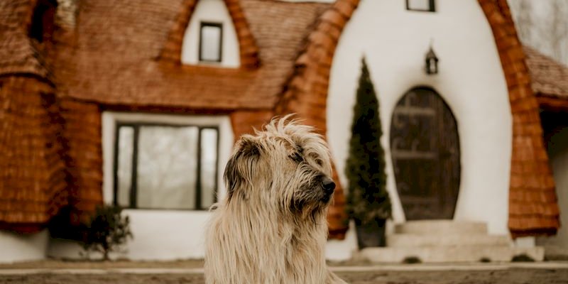 Manage Client Schedules with Appointment Booking Plugin for house sitters