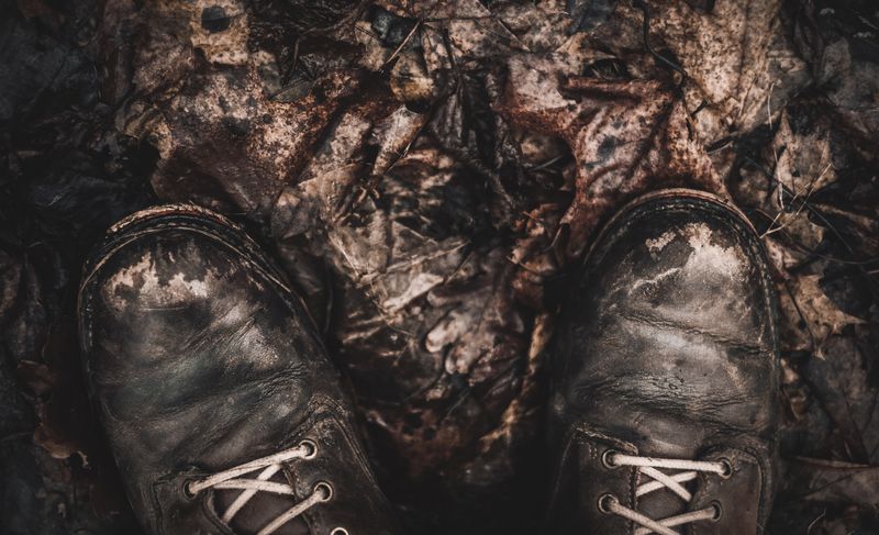 High-Performance WordPress Booking Plugins for Athletic Boot Camps
