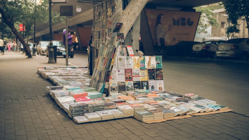 Affordable WordPress Plugin to Support Local Experience Booking
