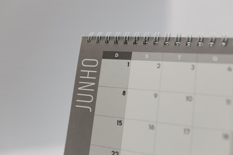 Can I accept payments directly through my WordPress scheduling plugin?