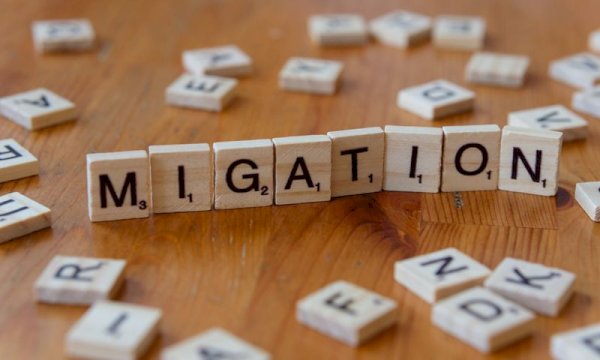 Why Choose Our Immigration Consultant WordPress Plugin for Better Workflow
