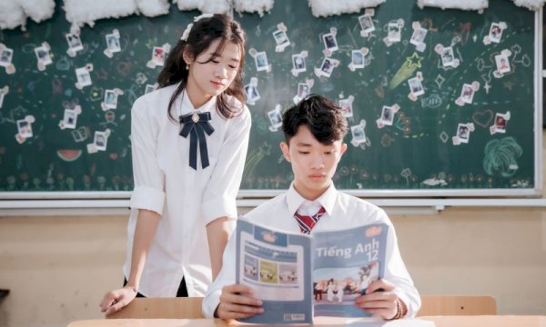Grow Your Academy with a Language School Booking WordPress Plugin