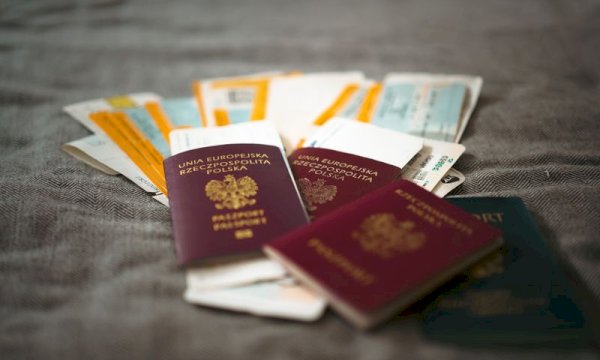 Professional Immigration Consultant Booking Software for Growth