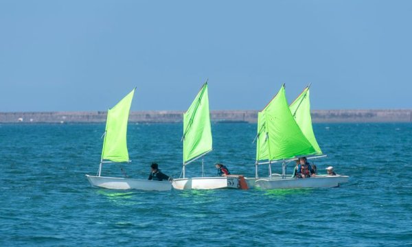 Automate Sailing Lesson Bookings with Dedicated wp Tools
