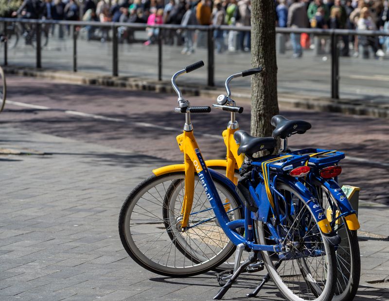 Efficient WP Booking Plugin for Bike Rentals and Tours