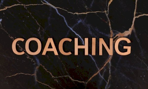WP Booking Calendar for Business Coaches: Client Scheduling