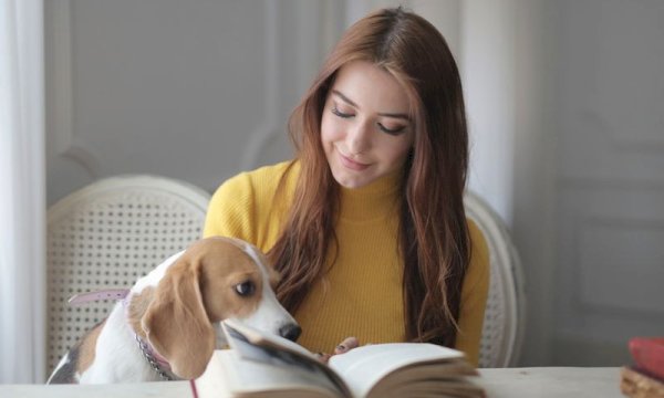 How to Setup a Pet Boarding Booking System on WordPress