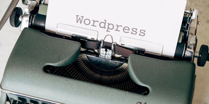 Affordable Tour Booking Software for WordPress Users