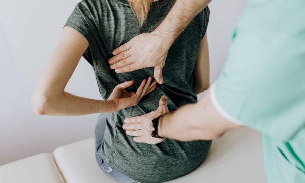 Professional Appointment Booking Plugin for Osteopathy Practices
