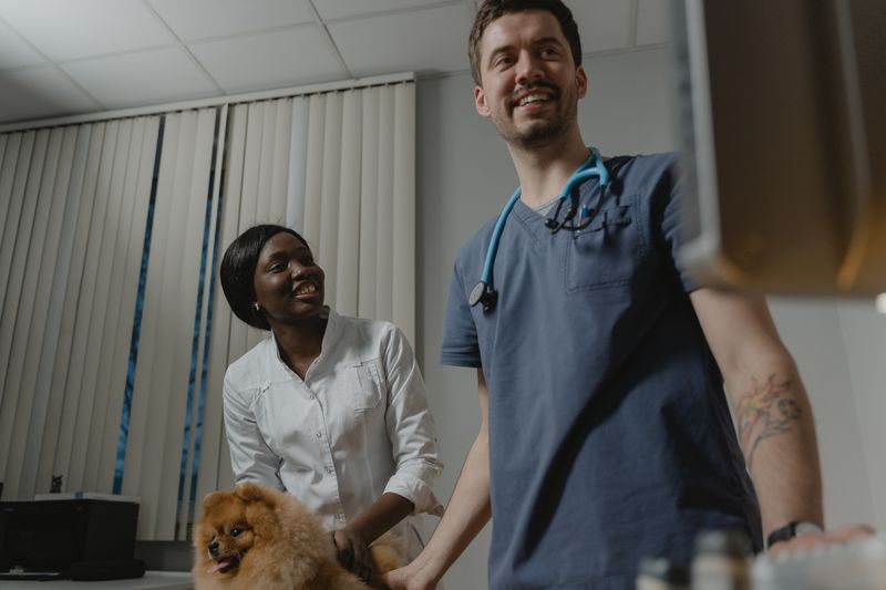 Top wp Booking System for Veterinarians: Schedule Pet Visits