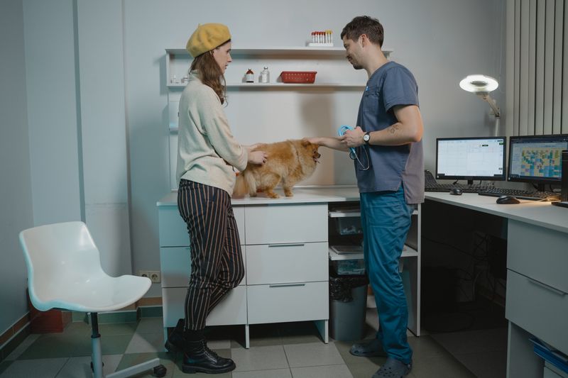Compare Top-Rated Veterinary Appointment Booking WordPress Plugins