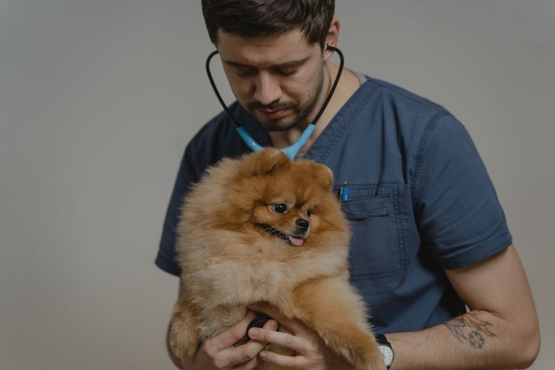 Essential Features for Your Veterinary Appointment Booking WordPress Plugin