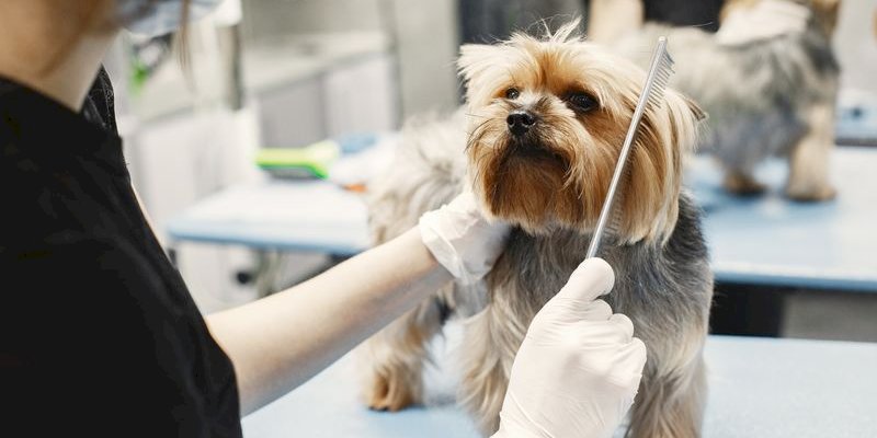 Affordable Pet Grooming Booking WordPress Plugin Options