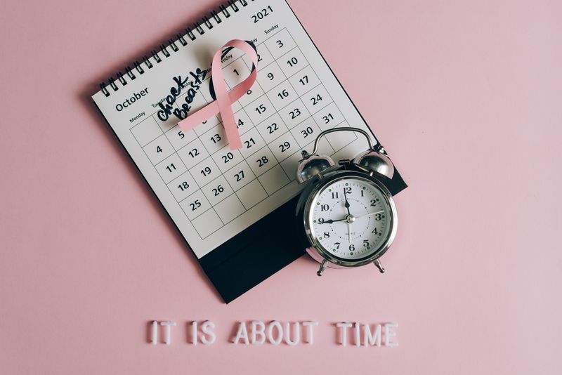 Professional Booking Calendar Plugins to Improve Lead Conversion