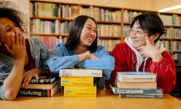 Automate Class Scheduling with a Language School Booking WordPress Plugin