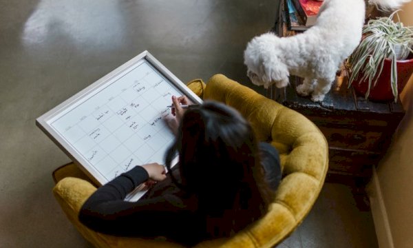 What are the best free room booking calendar plugins for WordPress?