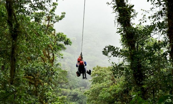 Upgrade Your Zip Lining Site with a wp Booking Plugin
