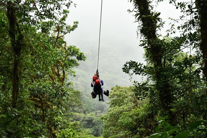 Upgrade Your Zip Lining Site with a wp Booking Plugin