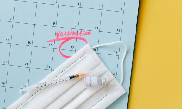 Simple Ways to Integrate a Booking Plugin into Elementor