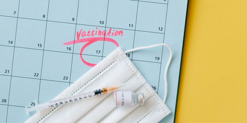 Simple Ways to Integrate a Booking Plugin into Elementor